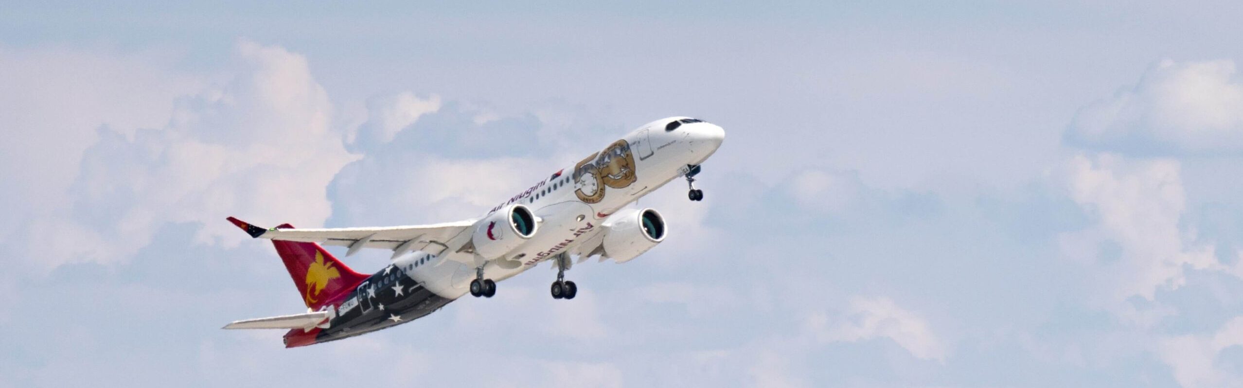 A220-300ハイブリッド塗装